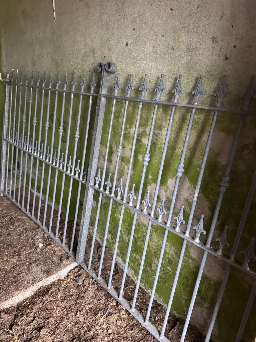 Galvanised ornate gates - Image 1