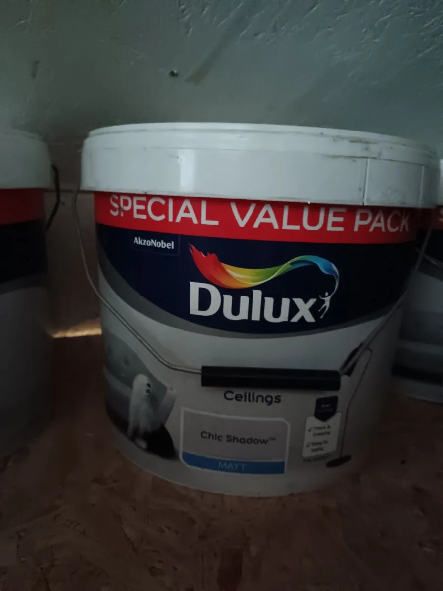 Paint - Image 4