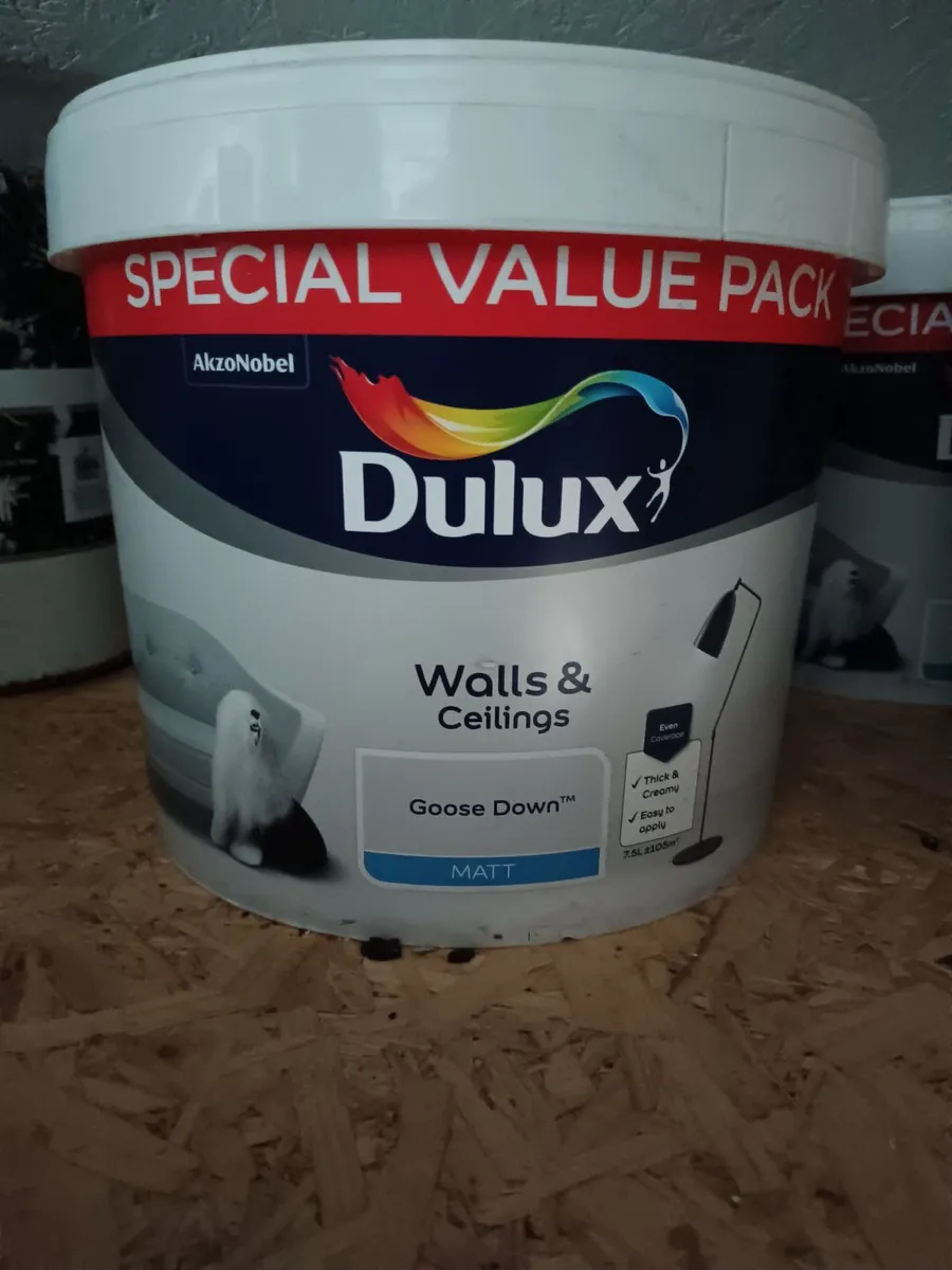 Paint - Image 2