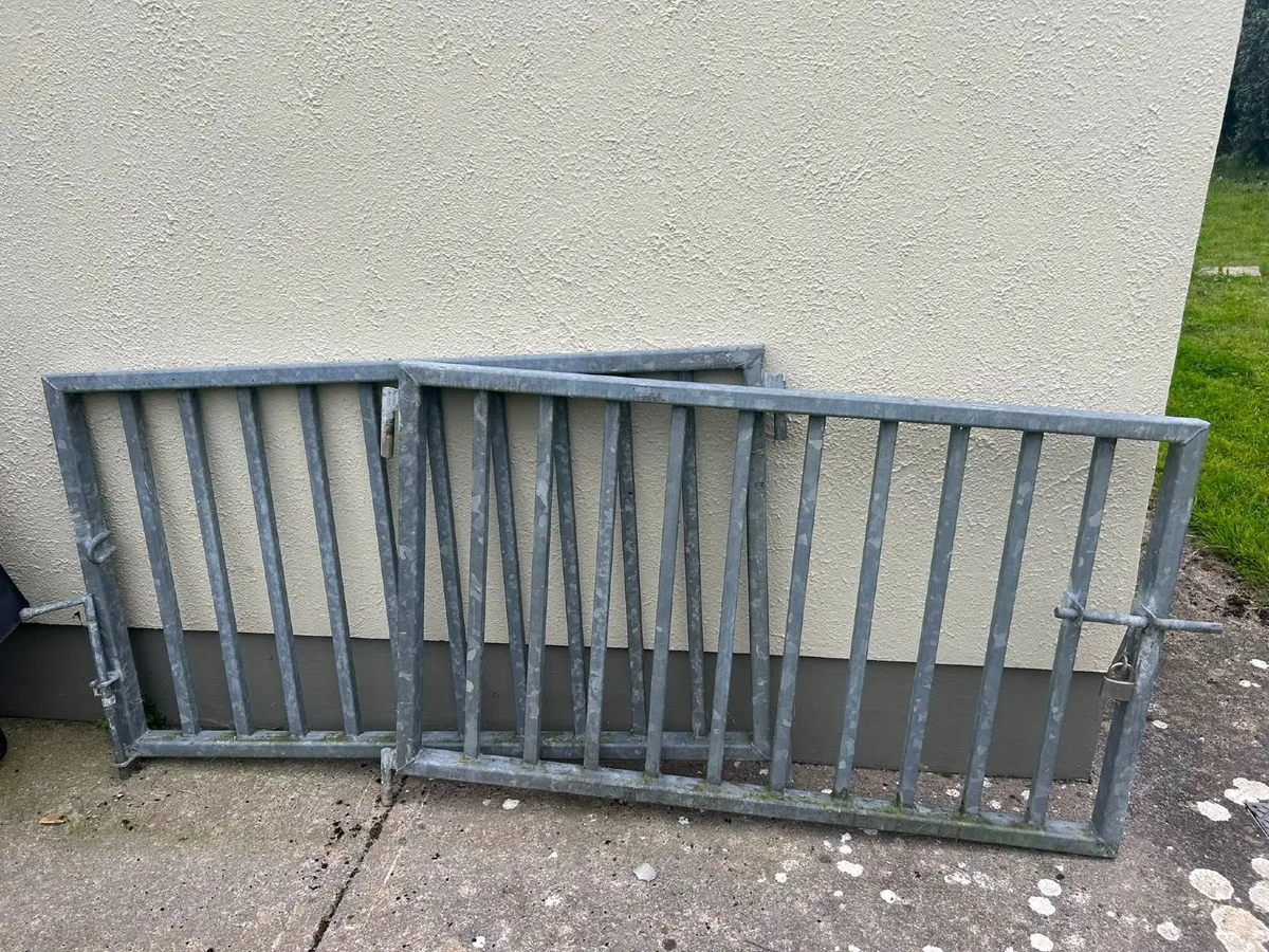 Galvanised iron gates - Image 1