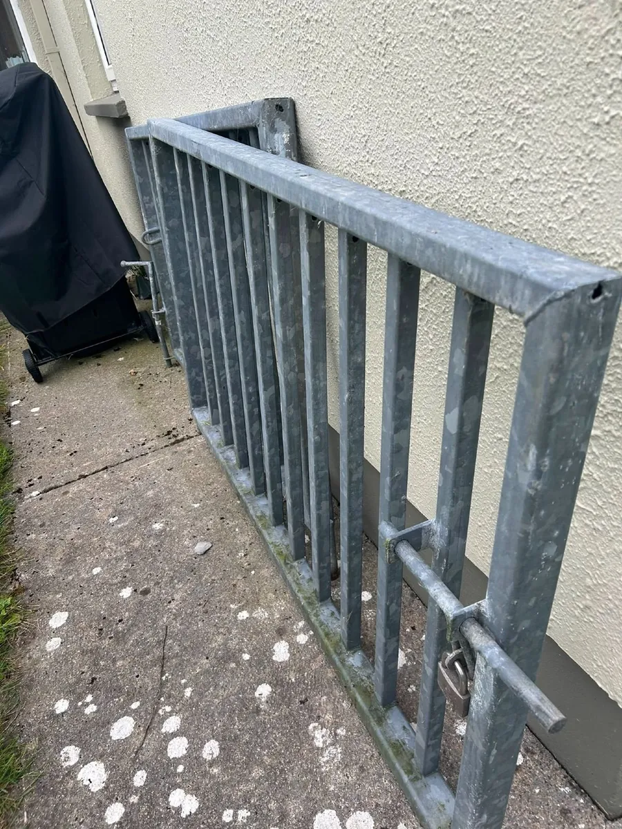 Galvanised iron gates - Image 3