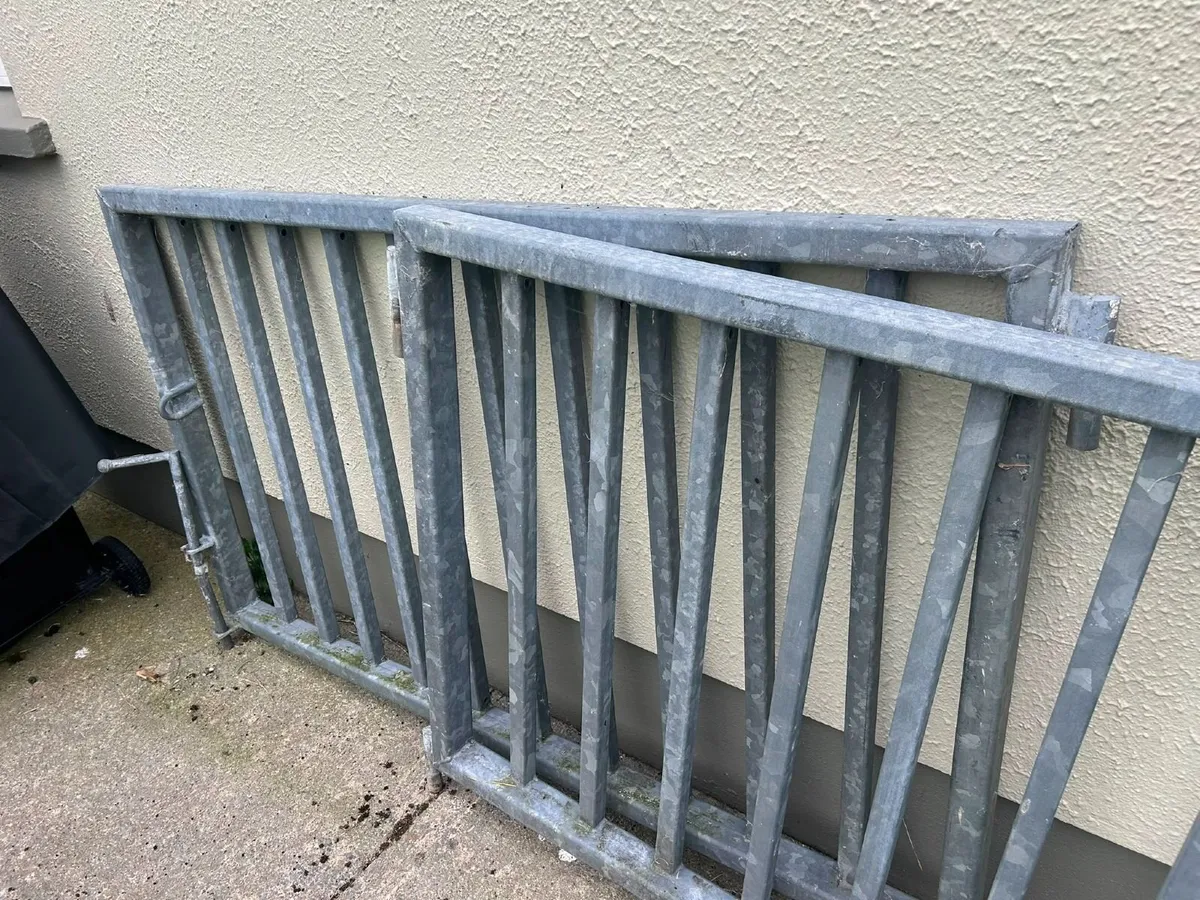 Galvanised iron gates - Image 2