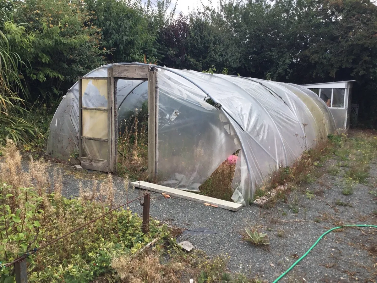 2 x poly tunnels - Image 2