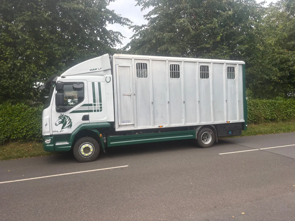 Daf lf tri star horse box - Image 1