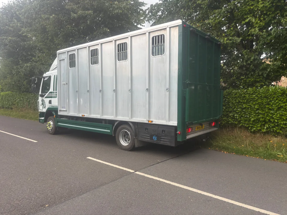 Daf lf tri star horse box - Image 4