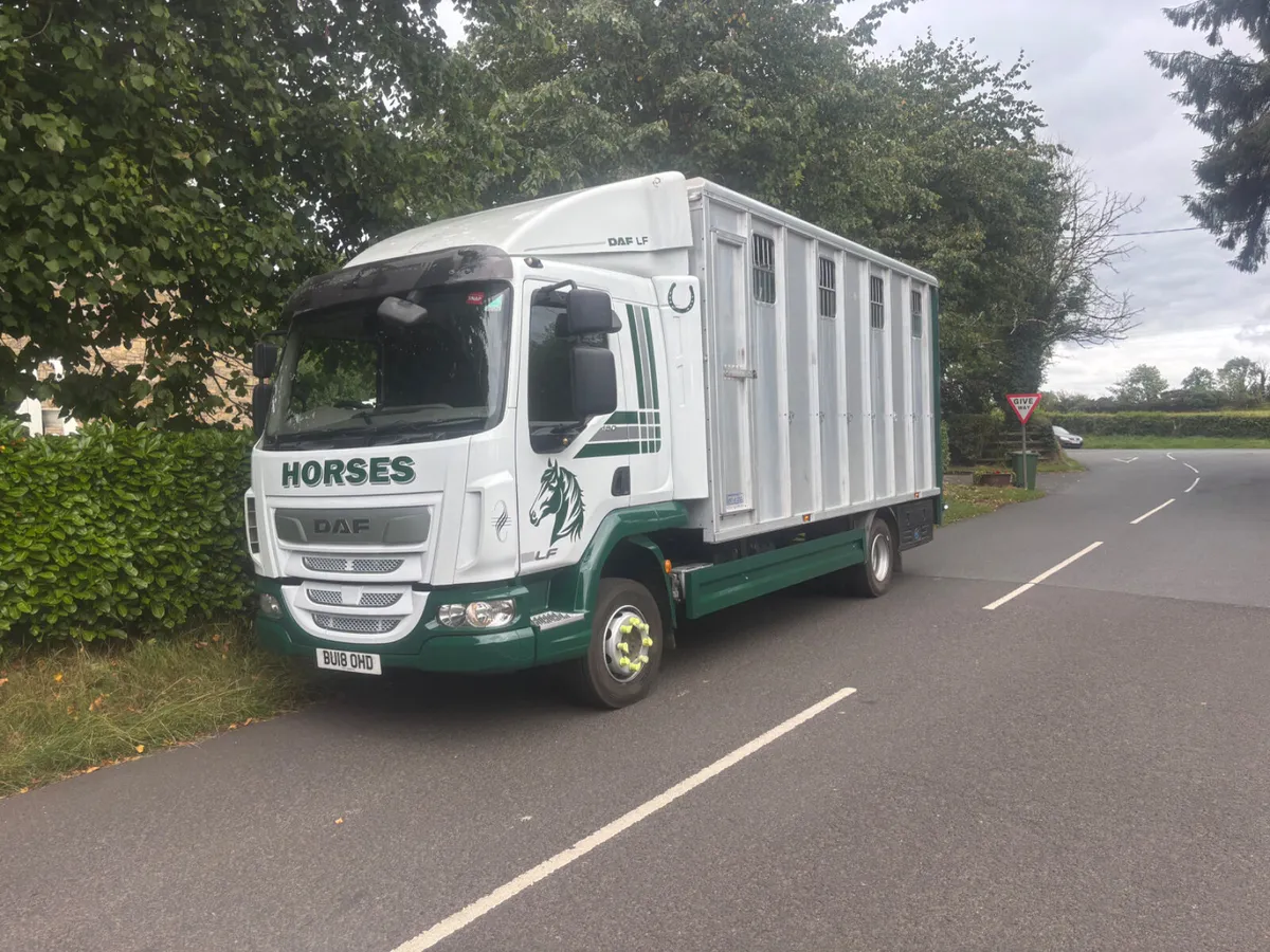 Daf lf tri star horse box - Image 2