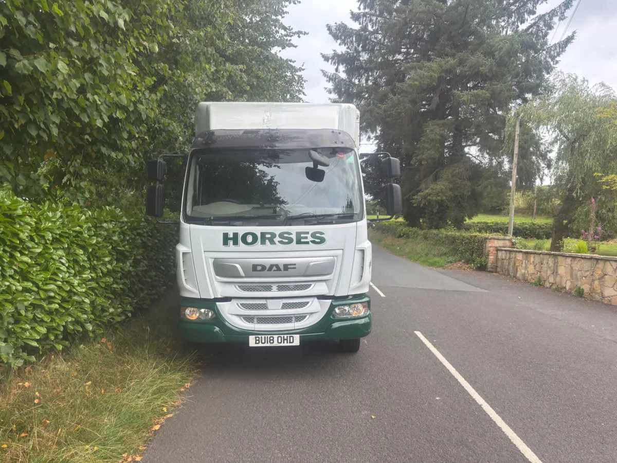 Daf lf tri star horse box - Image 3