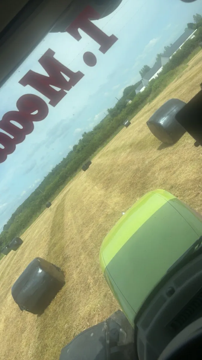 Silage bales - Image 3