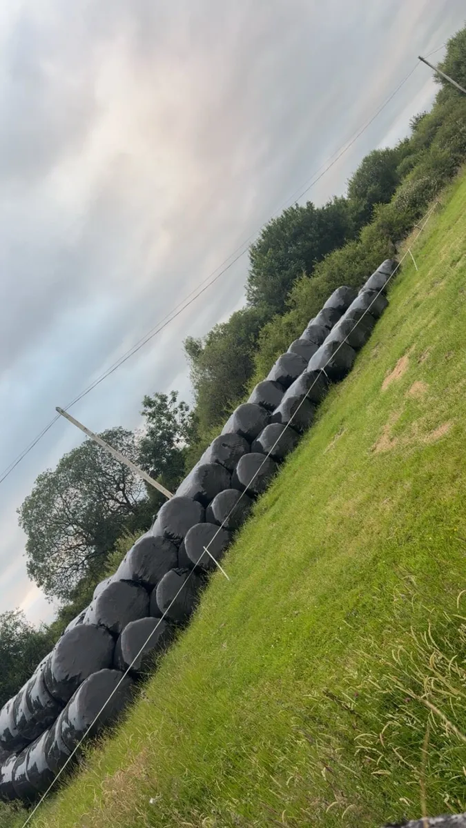 Silage bales - Image 4