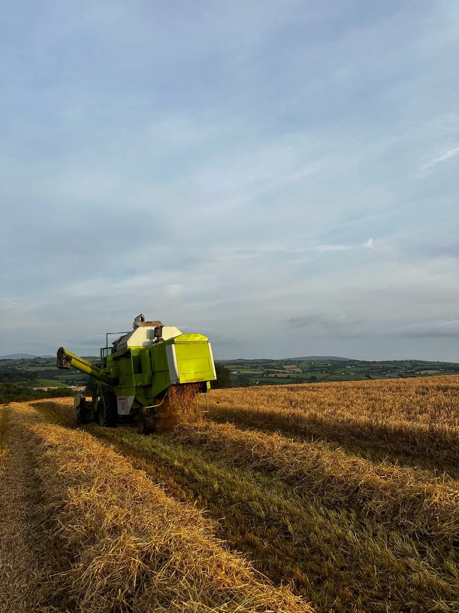 Claas dominator - Image 3