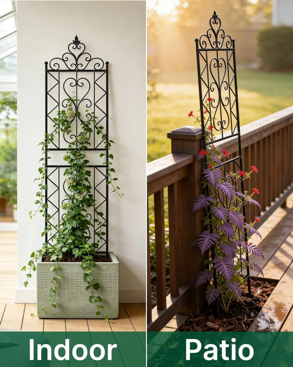 200CM Metal Garden Trellis for Climbing Plants - Image 4