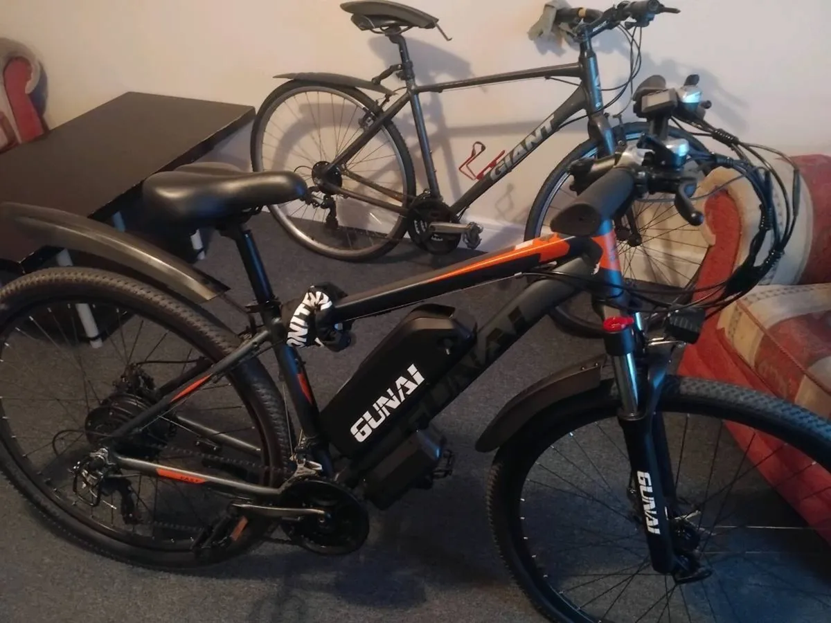 Electric bike