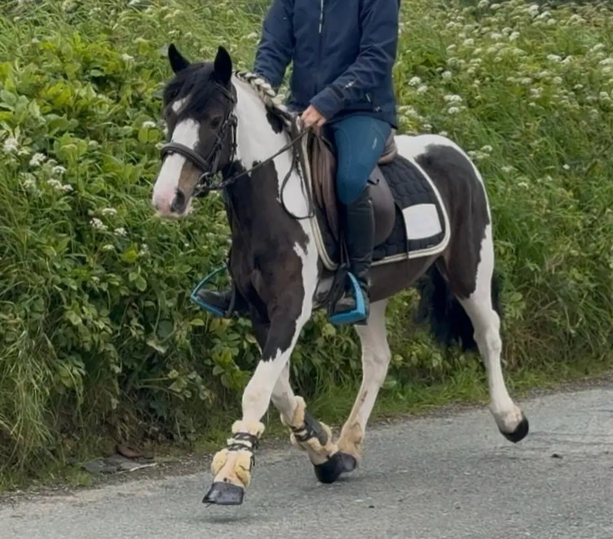 Begginers pony - Image 4