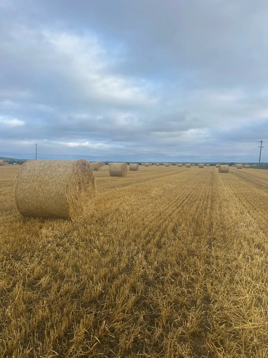 Oaten straw