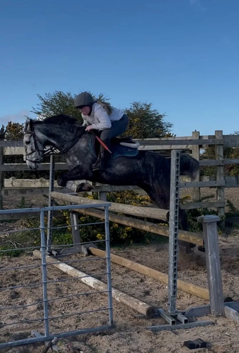 ☘️ Connemara mare ☘️ - Image 1