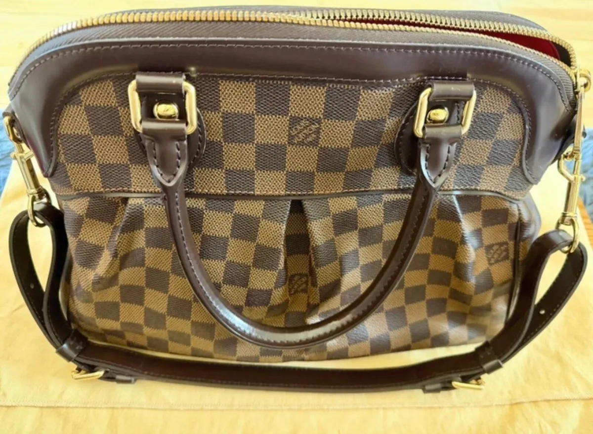 Louis Vuitton Trevi PM in Damier Ebene canvas - Image 1