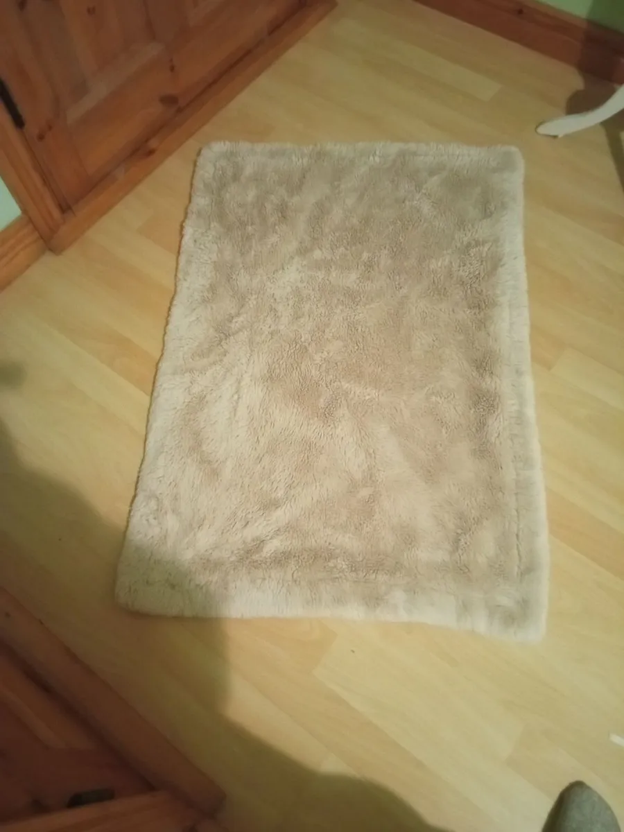 Rug - Image 1