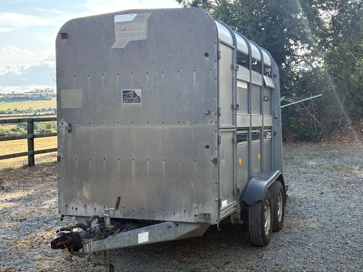 Ifor Williams Trailers - Image 4