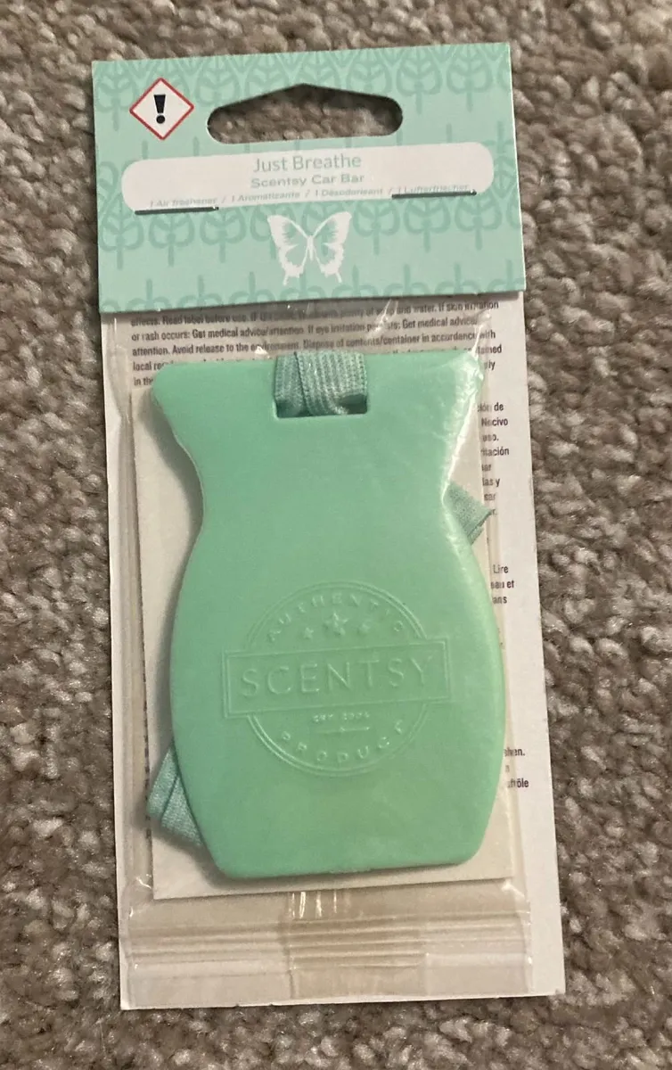 Scentsy Items - Image 2