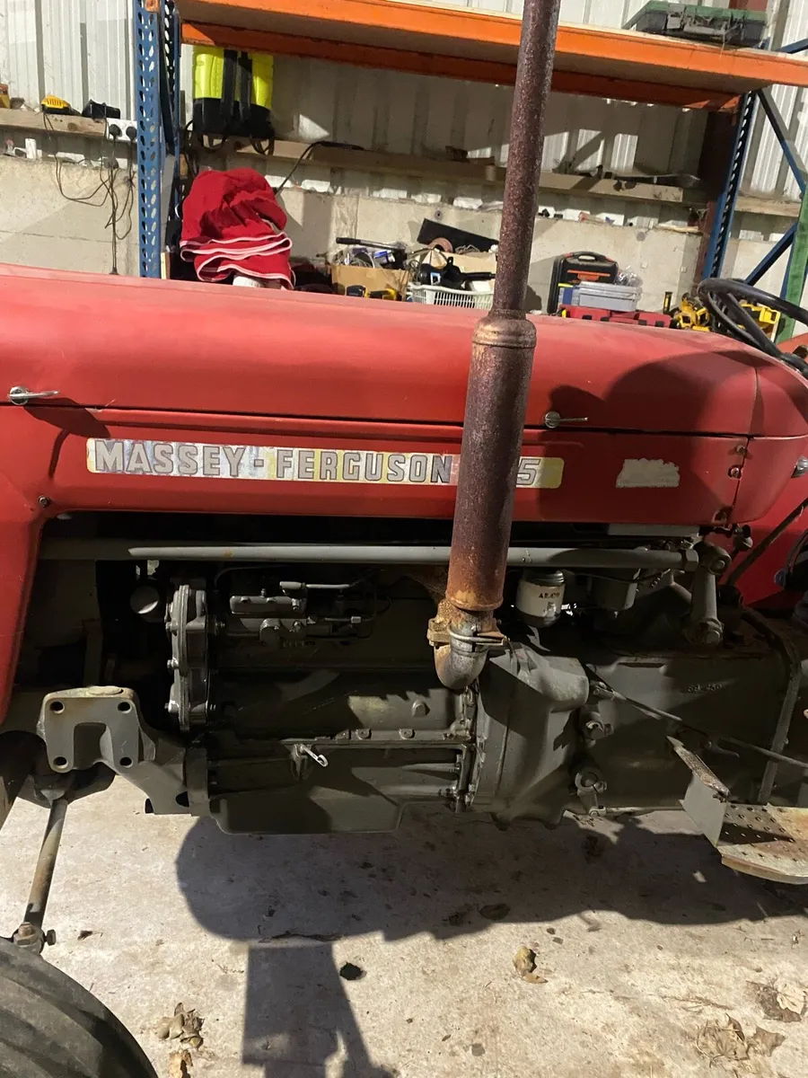 Massey 65 - Image 4