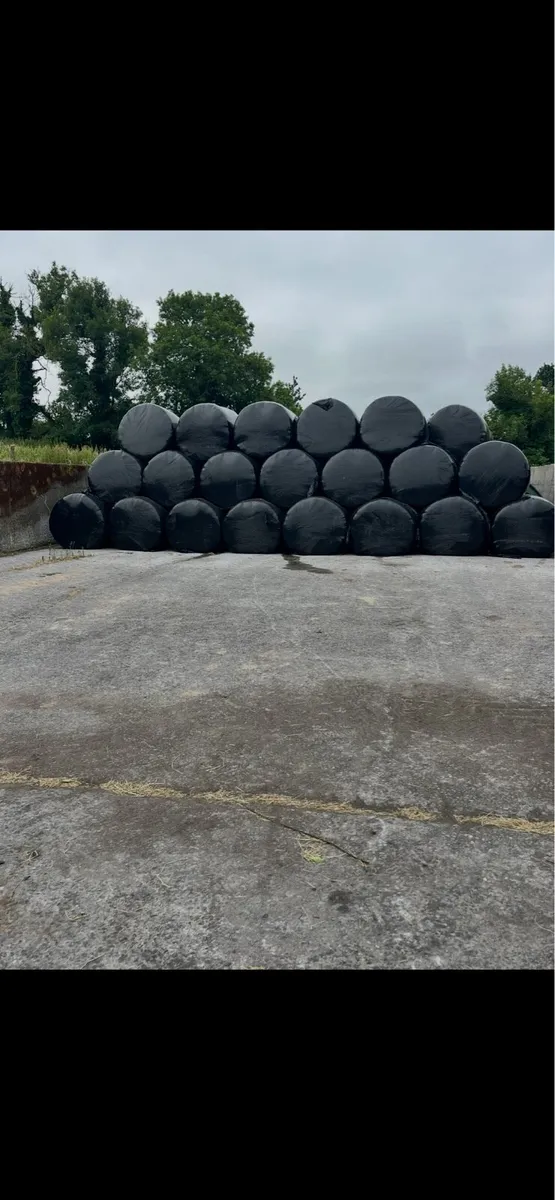 Haylage