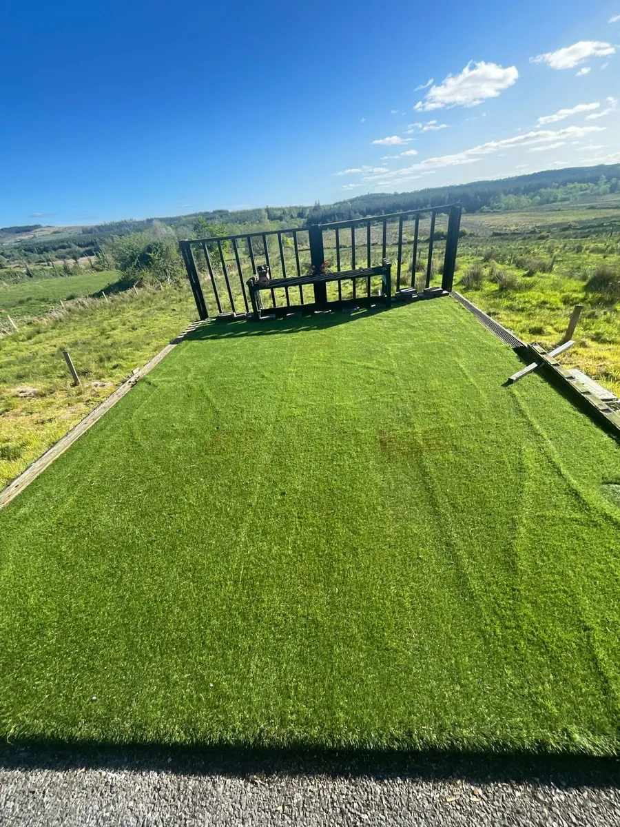Artificial grass - Image 2