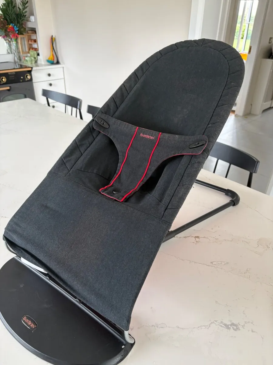 Babybjorn Bouncer - Image 3