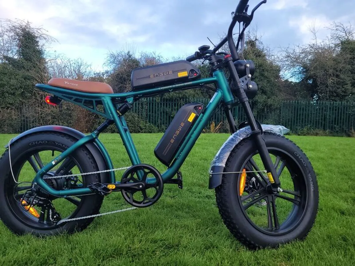 Brand New Engwe M20 Electric Bike,Check out my profile for more. - Image 3