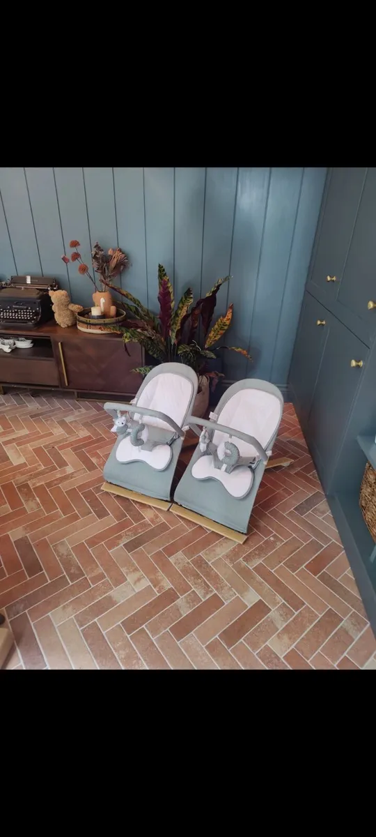 Baby Bouncer