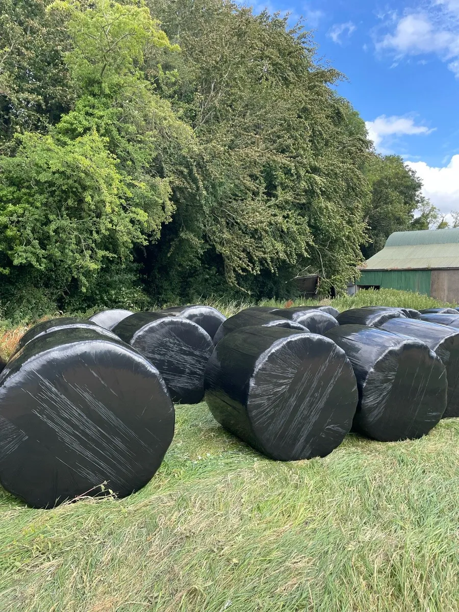 2026 silage bales - Image 1