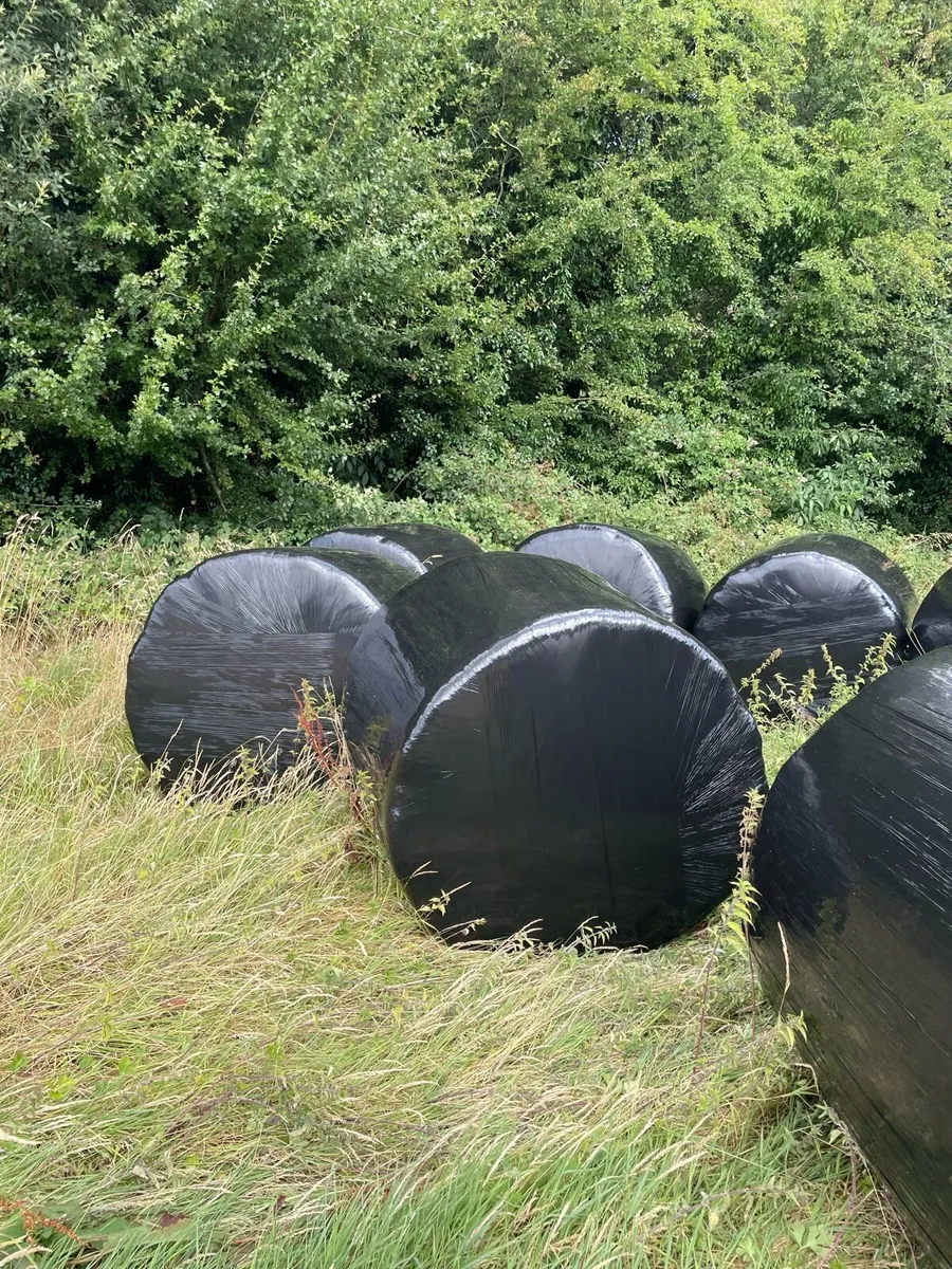 2026 silage bales - Image 2