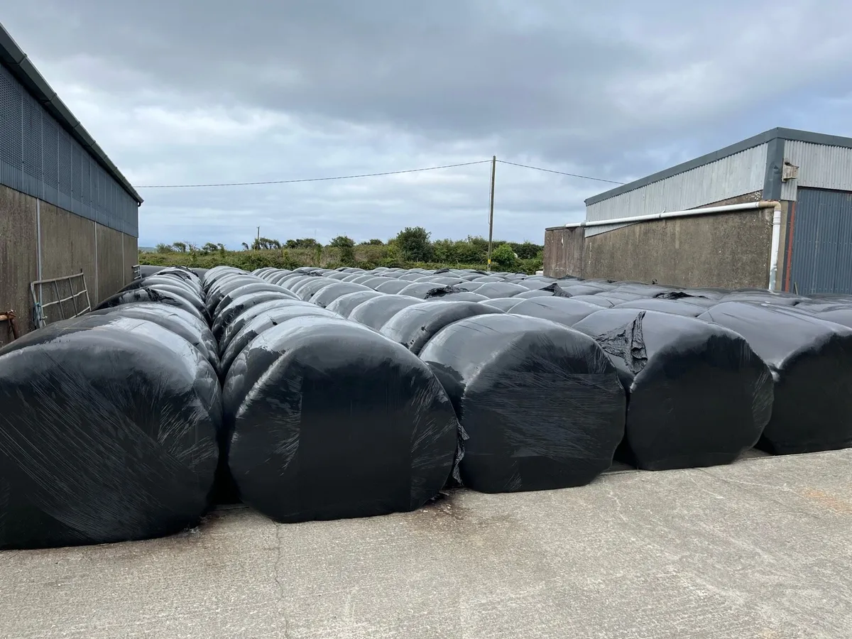 Certified Organic Silage - Image 1