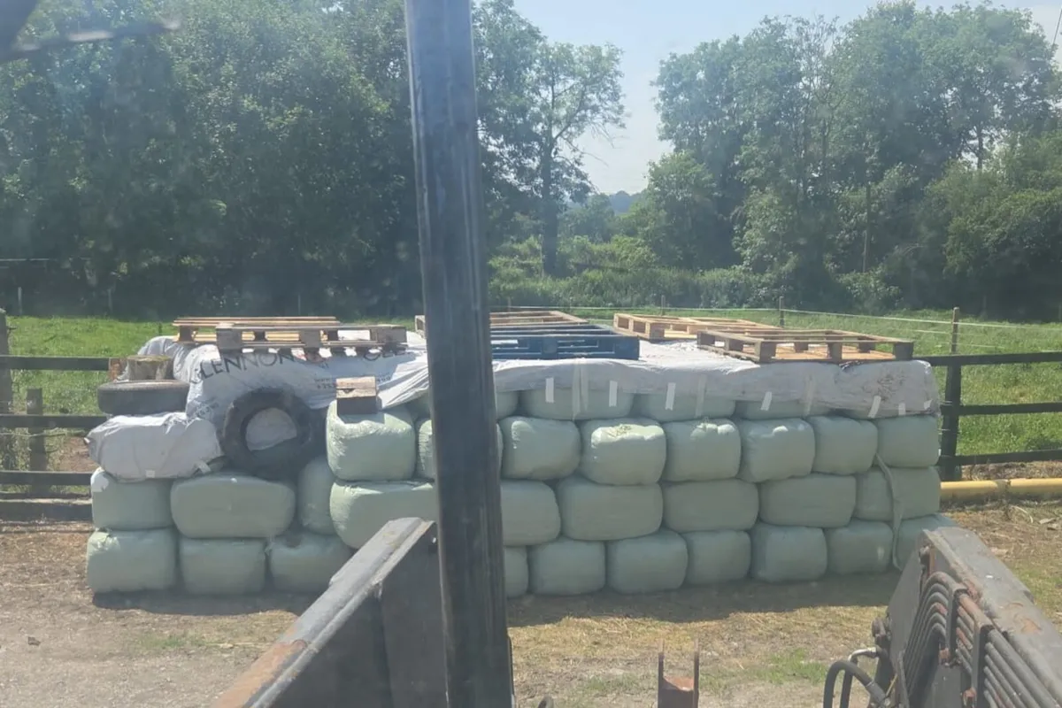 Haylage Square Bales