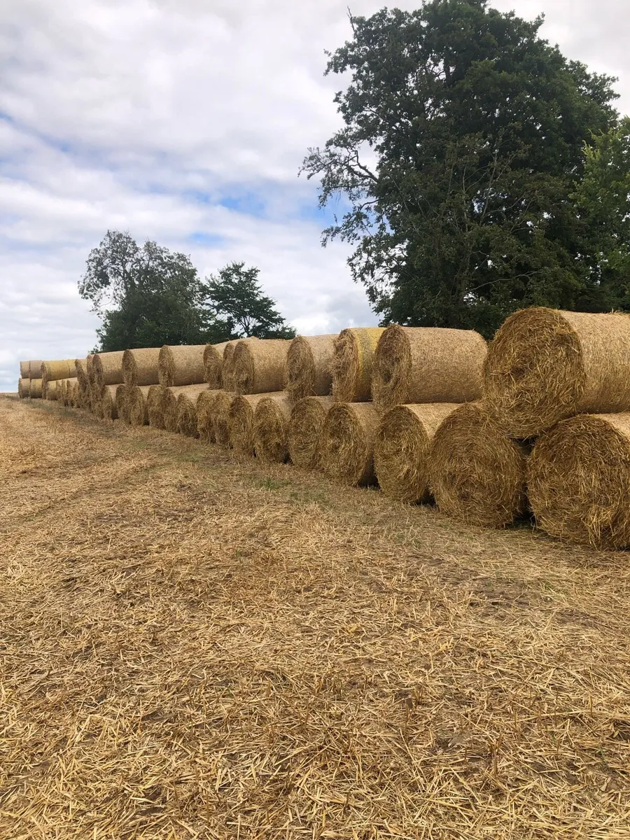 Straw
