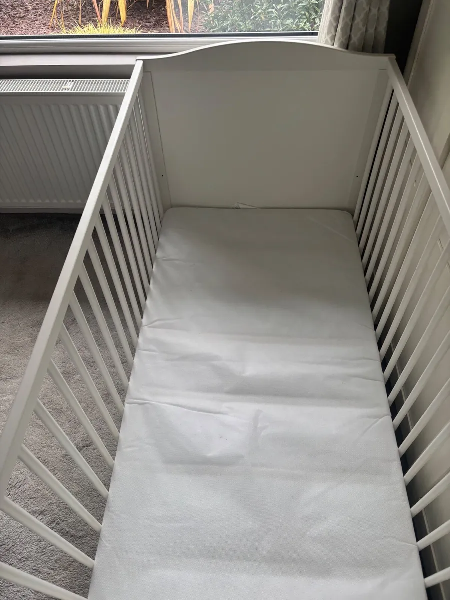 Cot - Image 3