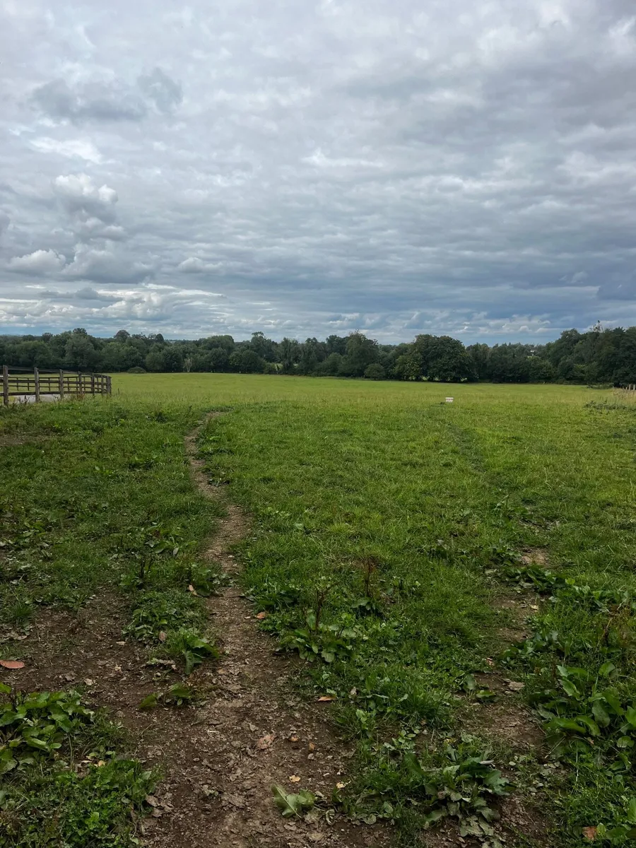 Equine retirement grass livery - Image 3