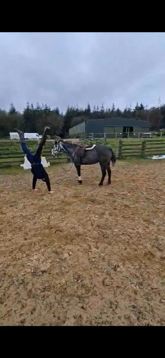 ☘️ Connemara mare ☘️ - Image 3
