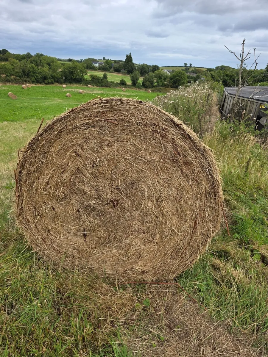 Haylage/hay - Image 1