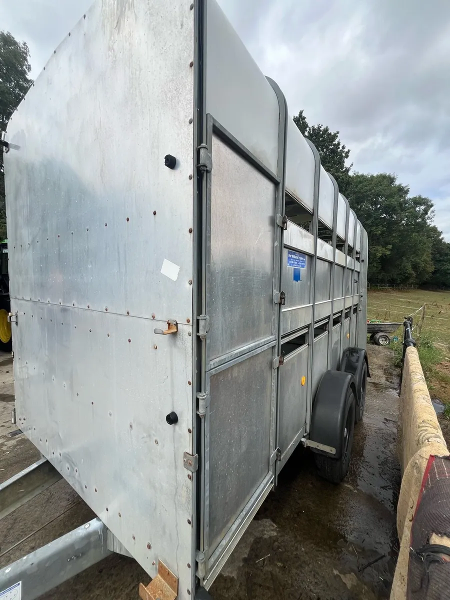 Ifor Williams box - Image 4