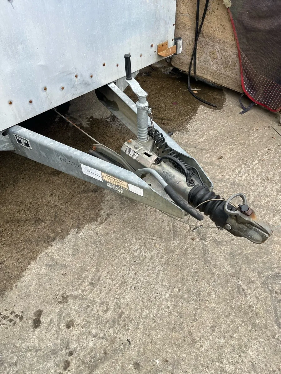 Ifor Williams box - Image 2