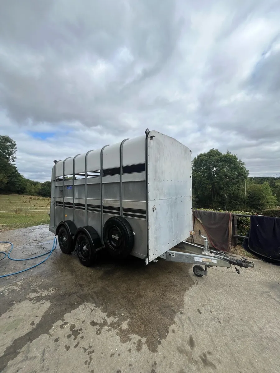 Ifor Williams box - Image 1