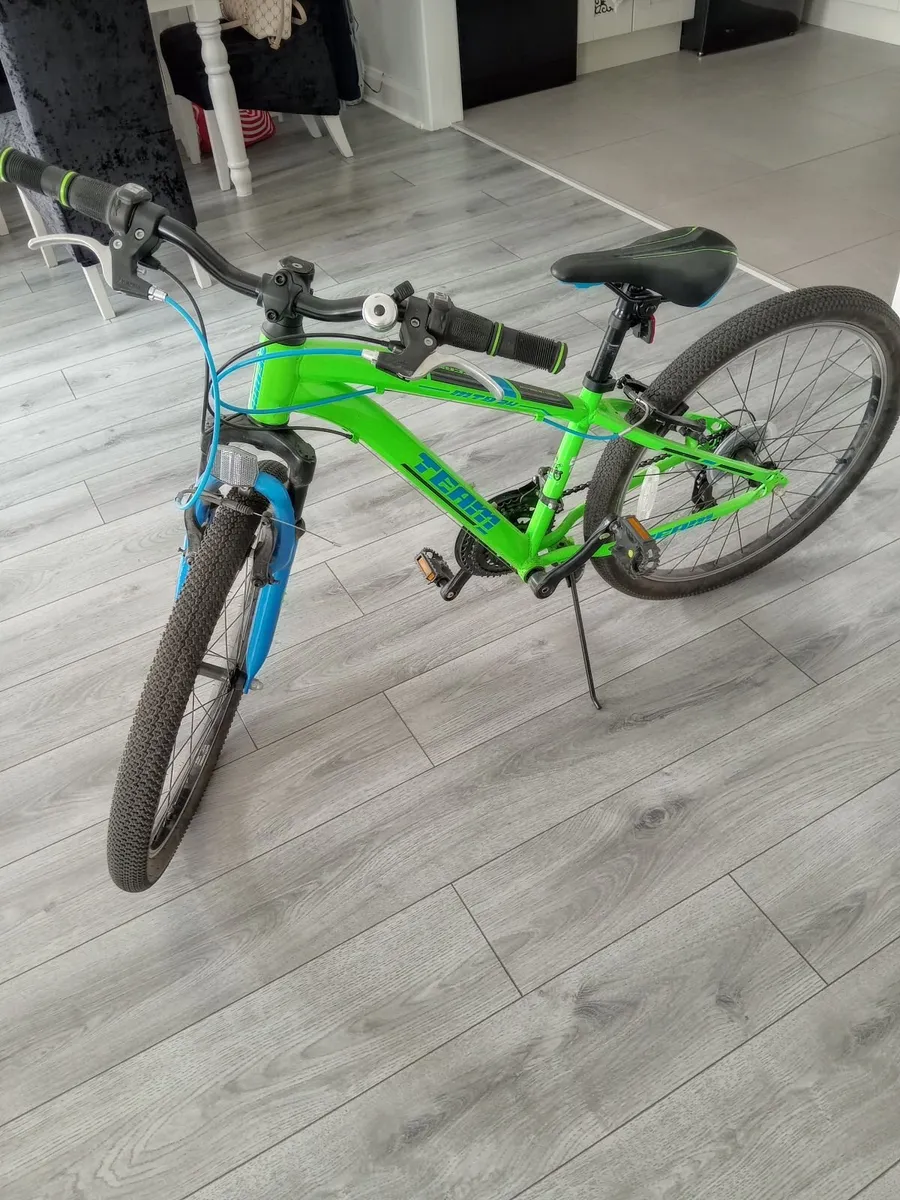 Mountain bike - Image 1