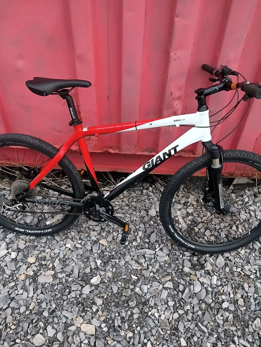 Giant mountain bike - Image 2