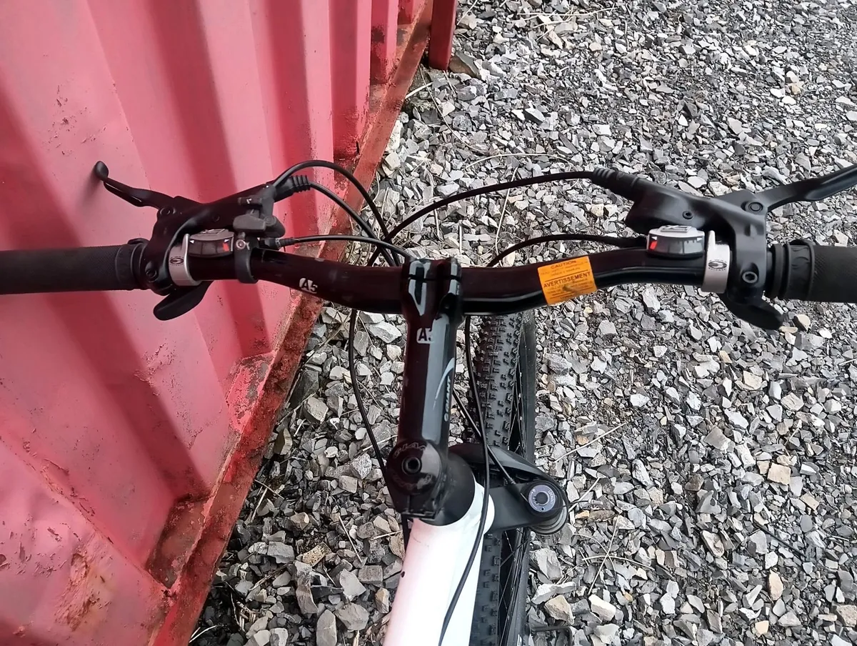 Giant mountain bike - Image 3