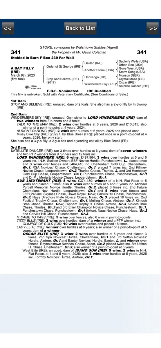3yo filly by Order of St George - Image 3