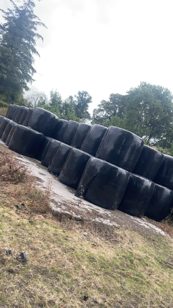 Baled silage - Image 1