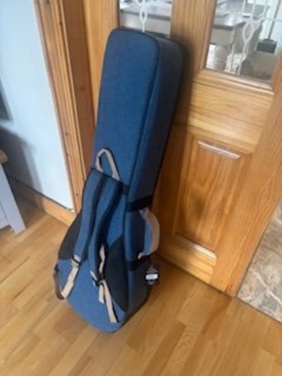 Ortega Banjo Case - Image 2