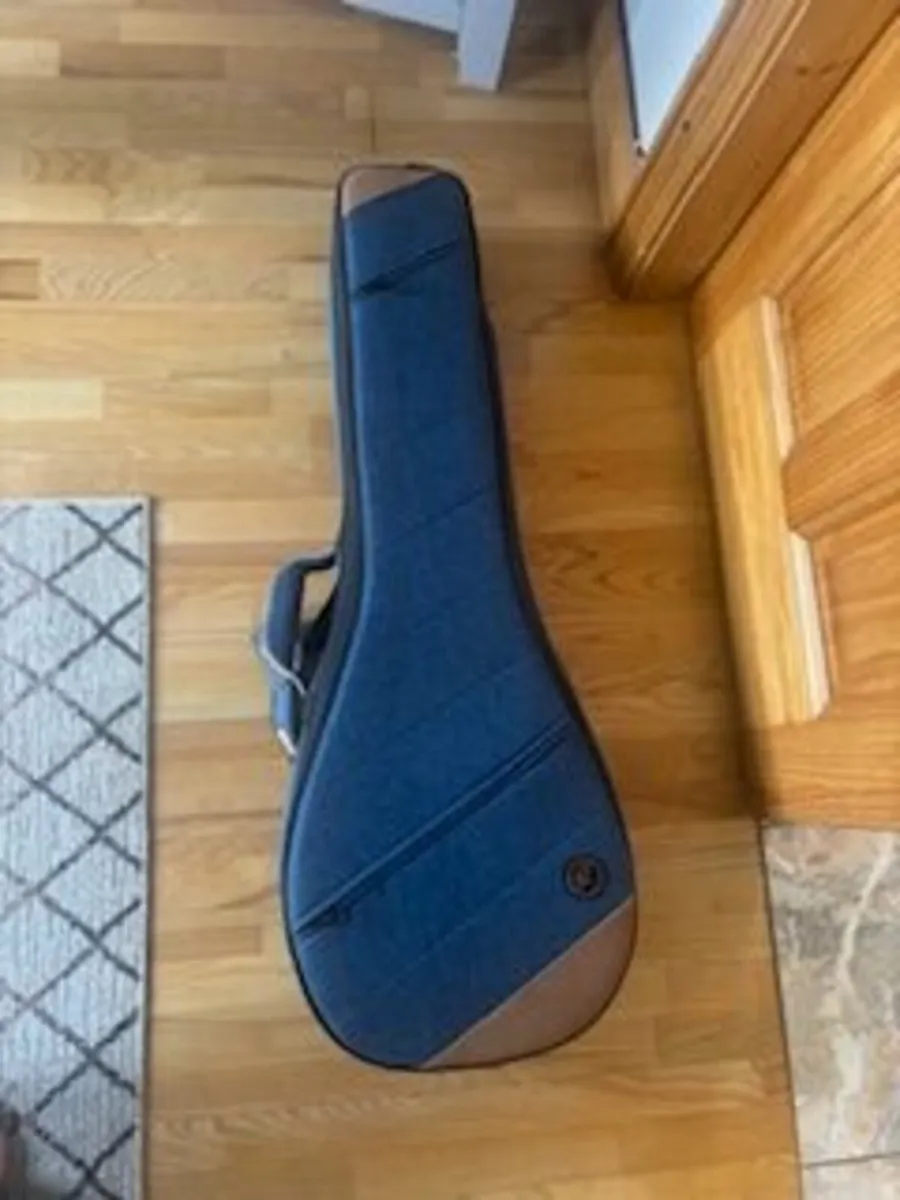 Ortega Banjo Case - Image 1
