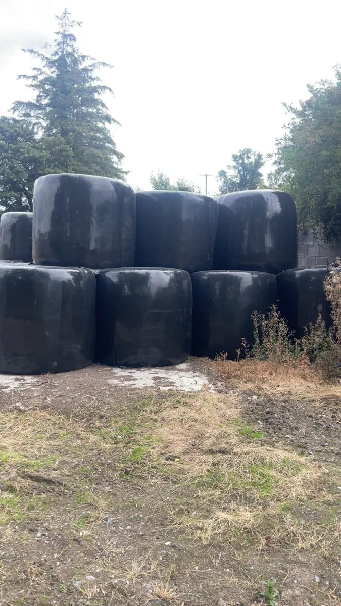 Baled silage - Image 2