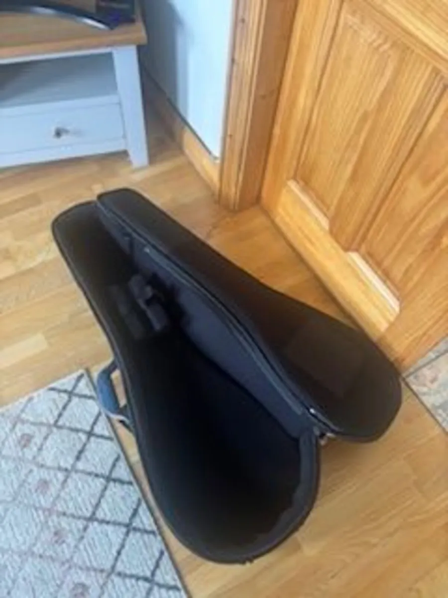 Ortega Banjo Case - Image 3